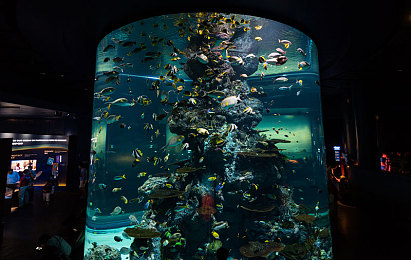 男女啪啪啪app：极速同心，双人共驭，默契竞速挑战之旅-2