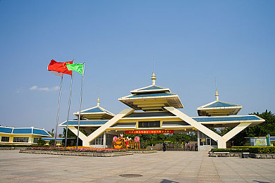 十大黄色应用：极速美学新标杆，十款热门赛车游戏深度评测与攻略全解析