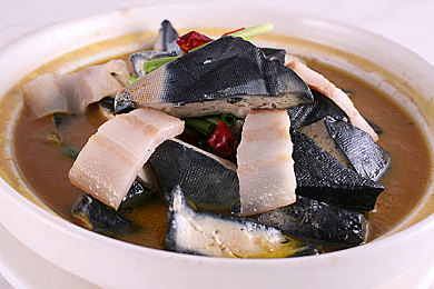 生物课老师把我JJ拿了出来：《生化变异机械觉醒》深度解析，双线改造系统开启载具进化新纪元-2