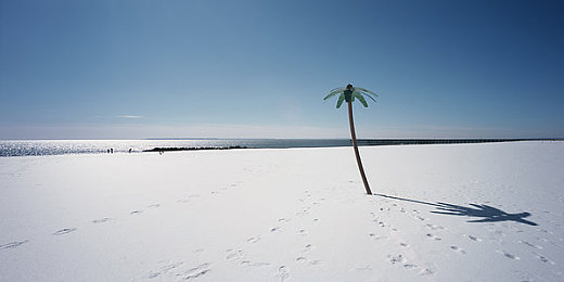 男生和女生差差差APP大全：极速对决革新竞速体验，动态差异系统开启驾驶策略新维度-2