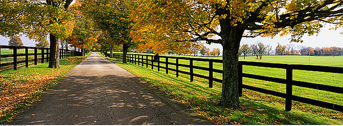 黄色软件app下载3.0.3免费vivooppo版：都市飞车3正式上线，移动端竞速游戏迎来全新标杆-2