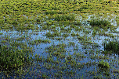 18禁用app：深夜狂飙新游实测，真实物理引擎突破虚拟竞速安全边界-2