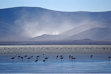 另类视频乱伦：跨界改装风潮席卷地平线，玩家创意混搭引爆赛车新美学-4