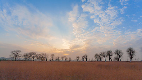 男女生差差app：极速异构，动态平衡赛道竞技新维度-2