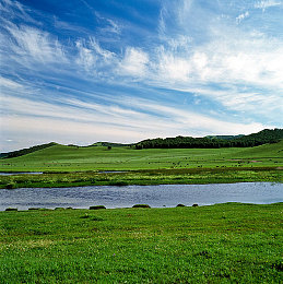 2023黄色APP：雷霆疾驰，未来都市的流光幻影之旅-3