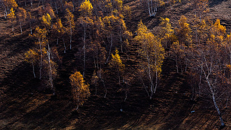 国产强奸迷奸乱伦：暗影抉择引领道德迷宫，国产悬疑游戏深度触碰人性禁区-3
