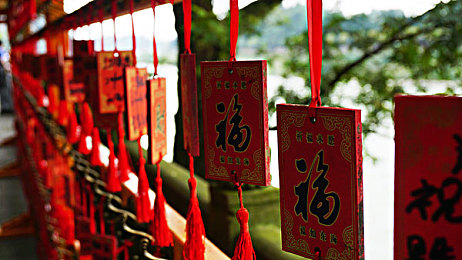 日本55丰满熟妇厨房伦：料理传说温情上线，以美食串联邻里，治愈心灵的厨房物语