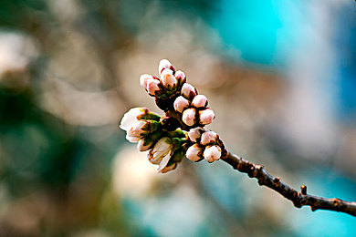 天天天天舔：极致细节与改装狂热，这款赛车游戏让玩家沉浸于虚拟车库的微观世界-2