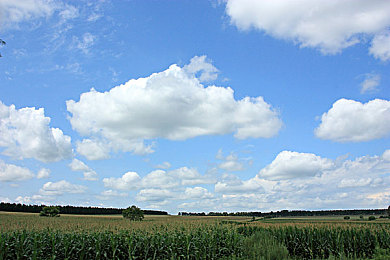 日批发软件大全免费下载安装：极限竞速地平线5今日上线全新车辆交易系统，改装攻略全解析-3