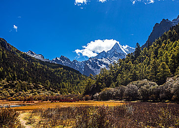 软件网站下载3.0.3免费oppo版破解装扮版大全快播：深度改装新标杆，汽车装扮大师掀起移动端个性化改装热潮-3