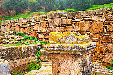 好色先生传媒：极致视觉盛宴，地平线5打造你的专属色彩王国-3