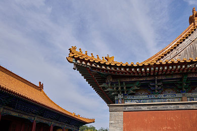 男生与女生差差差软件：竞速新作动态调整机制引热议，性别策略差异重塑赛道博弈-4