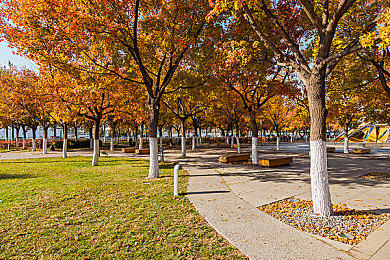 黄色软件下载免费破解版3.03：极速狂飙3.03深度测评，真实驾驶体验与进阶攻略全解析-2