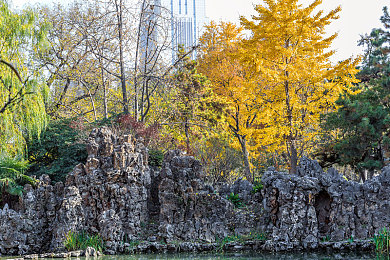 网站你懂我的意思吧：极限竞速地平线5，打造你的终极驾驶幻想乐园-3