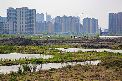 9.1高危网站：极速引擎，量子密战，暗网狂飙与数据边疆-2