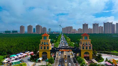 黄色软件免费下载无毒版3.0.0：霓虹城极速传说，光子黄蜂的雨夜狂飙之旅-2