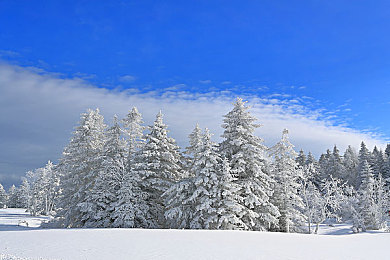 色tv：霓虹幻境，极速绘卷，动态色彩竞速之旅-4