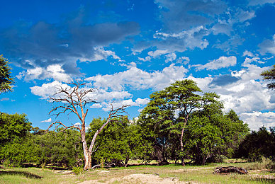 男生和女生在床上做运动的软件：极限竞速地平线全新评测，躺着征服开放世界的驾驶盛宴今日上线-2
