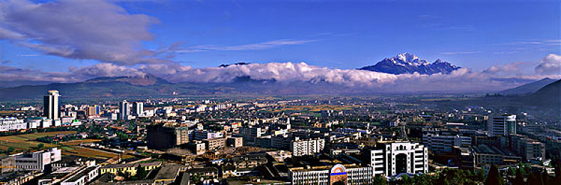 黄色软件网站下载3.0.3免费下载：霓虹山道上的黄金传说，深度改装与极速狂飙之旅-2