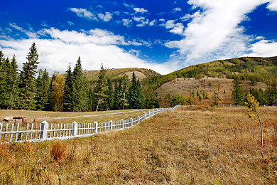 不盖被子打扑克：街头狂飙终极对决，以车为注挑战都市速度赌局-2
