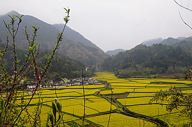 国产男女av:竞速新作今日上线,本土汽车文化点燃虚拟赛道热潮-1