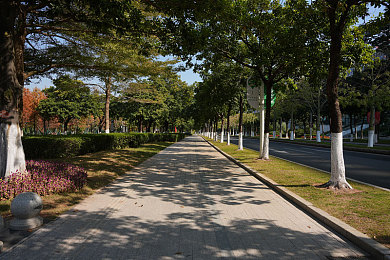 猎奇吃瓜爆料在线观看：《极限竞速：地平线5》隐藏彩蛋全揭秘，专业技巧助你称霸墨西哥赛道-1