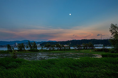 黄色软件大全下载3.0.3每天OPPO版苹果版p：极速都市霓虹轨迹上线，多平台流畅竞速新体验-4