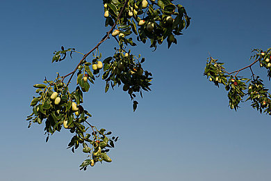 斗罗大陆全黄H全肉后宫:魂师阵容搭配秘技公开,全新魂环猎杀攻略震撼来袭-1