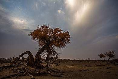 中国人操逼软件:中国玩家如何以策略与调校技巧制霸《极限竞速:地平线5》赛道-2