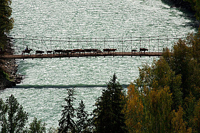 裸身软件：纯粹驾驶哲学，极简赛道上的机械对话-2