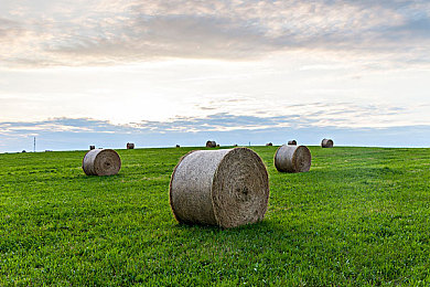 张婉莹视频暑假作业：墨西哥画卷，轮胎下的虚拟旅行日记-1