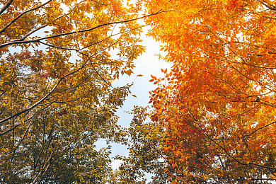 100流氓软件下载：赛博都市狂飙，解锁虚拟黑客的非法改装之旅-2