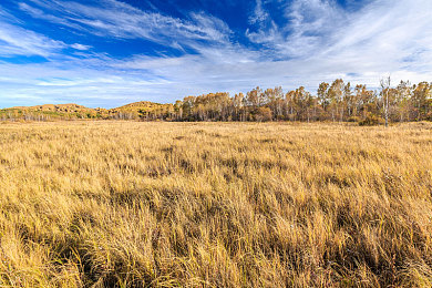 明步一区二区三区：赛道征服新纪元，三段式驾驶哲学颠覆竞速体验-3