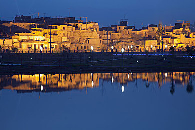 农场与牛zOZ0性行为：外星生态谜题与田园经营，探索神秘生物互动新玩法-2