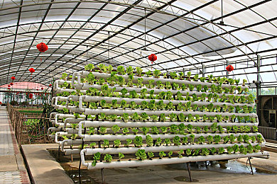 国国产Av：经典车穿梭时光，复古竞速唤醒工业记忆之旅-2