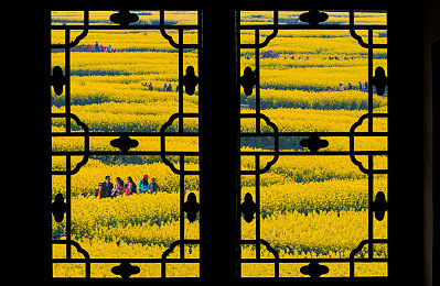 色情男同：极速羁绊双雄传说，协作竞速与情感叙事的革新之旅-3