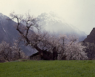 两个人看的www视频在线高清观看:极限竞速地平线5双人模式上线,协作驾驶重塑竞速社交新体验-3