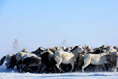 红挑：极限竞速新标杆，征服纽北终极挑战，体验拟真驾驶艺术-3