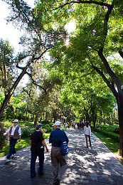 男生女生做差差免费下载软件：极速差差全新上线，性别定制赛车开启差异化竞速时代-3
