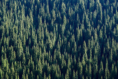 FAXX和MAXX：极速纪元双生引擎，两种驾驶哲学的对决与融合-1