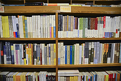 好色先生AV：霓虹都市竞速，动态色彩驱动赛博冒险-2