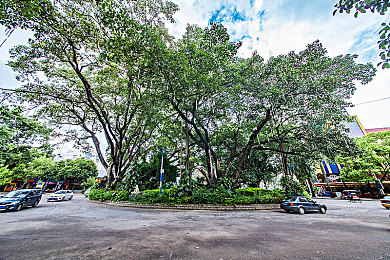 少妇厨房：昼夜双面人生，烹饪竞速融合游戏获创新大奖