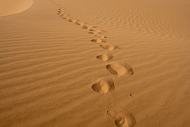 机机对：硬核载具对战新作今日上线，动态改装引爆实时战术博弈-1