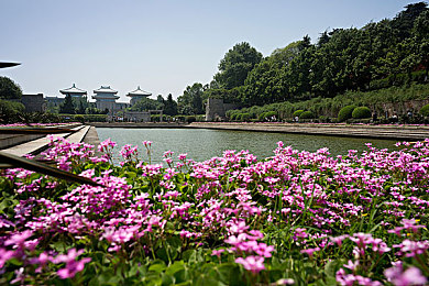 公猪和女人性交:《荒野猪车手》评测与攻略发布,解锁狂野竞速新体验-3