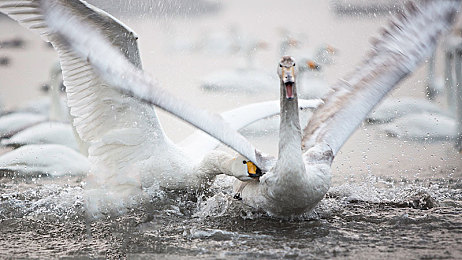 万里长征zzzttt.07:极限征途第七章上线,开放世界竞速融合生存挑战重塑传奇体验-2