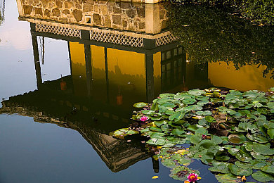 亚洲国产AV电影:极速霓虹,家族荣耀,夜之城邦竞速诗篇-3