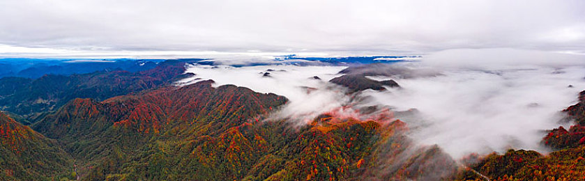 404款禁用观看：极限车手隐藏车库揭秘，都市传说背后的终极座驾-4