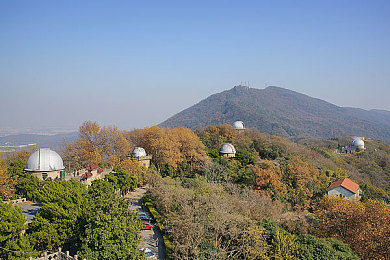 男的和男的做饭：竞速料理新游发布，双人协作挑战极限驾驶与精准烹饪-1