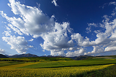 天美传煤：黑铁大陆，重载竞速与能源使命的柴油朋克之旅
