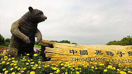 中国AV剧情：霓虹港速度与抉择交织，国产竞速新作今日正式发售-3